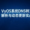 VyOS系统DNS转发解析与动态更新实战指南
